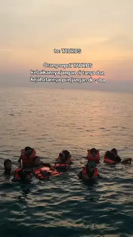 Elemen Tanah semuanya bisa menguasai 🥺 #taurus♉️ #april #mei #banteng #foryou 