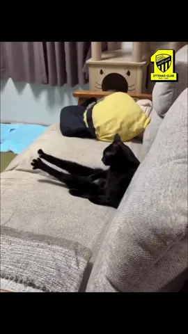 #الاهلي #جمهور_الاهلي #اكسبلور #الشعب_الصيني_ماله_حل😂😂 #fyp 