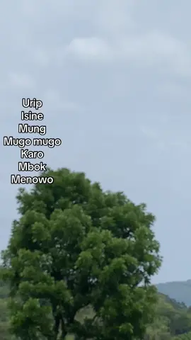 Penting bismillah 😊#fypage #trail #ktmtpi300 #trabas #trabasadventureindonesia 