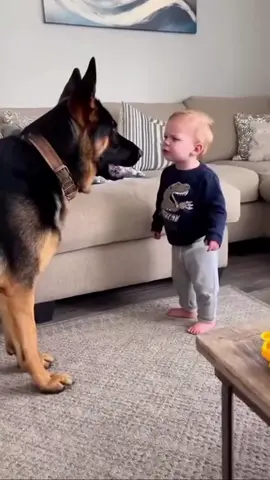 The baby is very cute teaching his dog❤️🥰#dog #baby #bestfriend #Love #foryou #usa🇺🇸 
