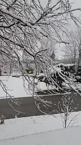 1st snow of the year. #november2025 #whiteshitintheair #snow #indianaweather 