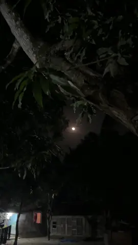 দেখো না তুমি আর,আমিও যে দিশেহারা..! 😅❤️‍🩹   #fyp #foryou #moon_lover_29 #videography #moon 