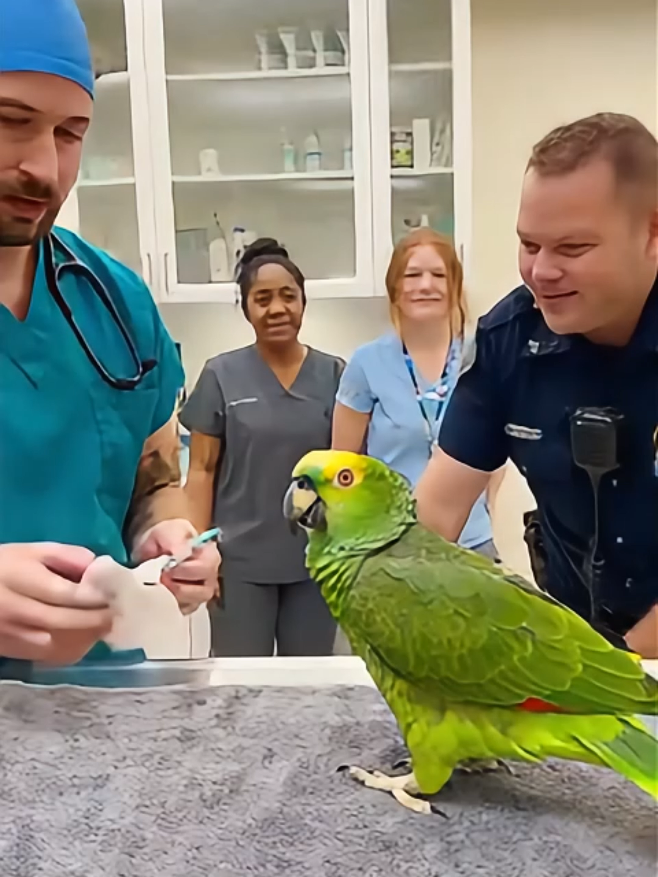 🦜 “Officer, this man’s about to sell my organs on eBay!” 💀💉 When the vet’s just doing his job — but the parrot’s doing stand-up comedy. 😂 #realshocklens #SavageParrot #TalkingParrot #FunnyAnimals #VetComedy #AIComedy #BirdHumor #FunnyPets #ViralShorts #ComedyTok #PetTok #AnimalHumor