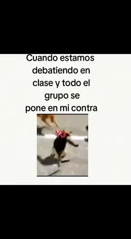 #flop#flopp#colegio#paratiiiiiiiiiiiiiiiiiiiiiiiiiiiiiii#humor