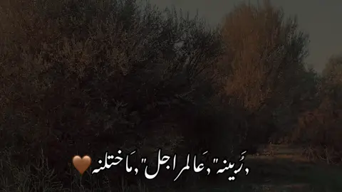 #ربينه_عالمراجل#تصويري_احترافي_الاجواء👌🏻🕊😴🎬 #جنوب_الموصل_ناحيه_القياره_قرية_الحود_السرت #عباراتكم_الفخمه📿📌 #شعراء_وذواقين_الشعر_الشعبي🎸 