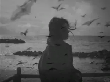 عشرتك عشرة جذب مادايمه 😕. . . .#شهد #تصاميم_فيديوهات🎵🎤🎬، #fypシ゚ #حزن #اكسبلورexplore 