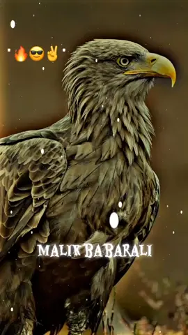 Malik 👿 BabarAli you 💯 views My views For you video views 