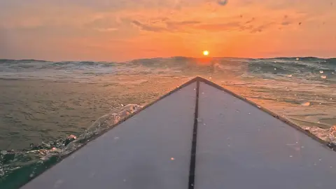 Mon meilleur canard😍 #surf #surfing #surfer #surfvibes #duckdive 