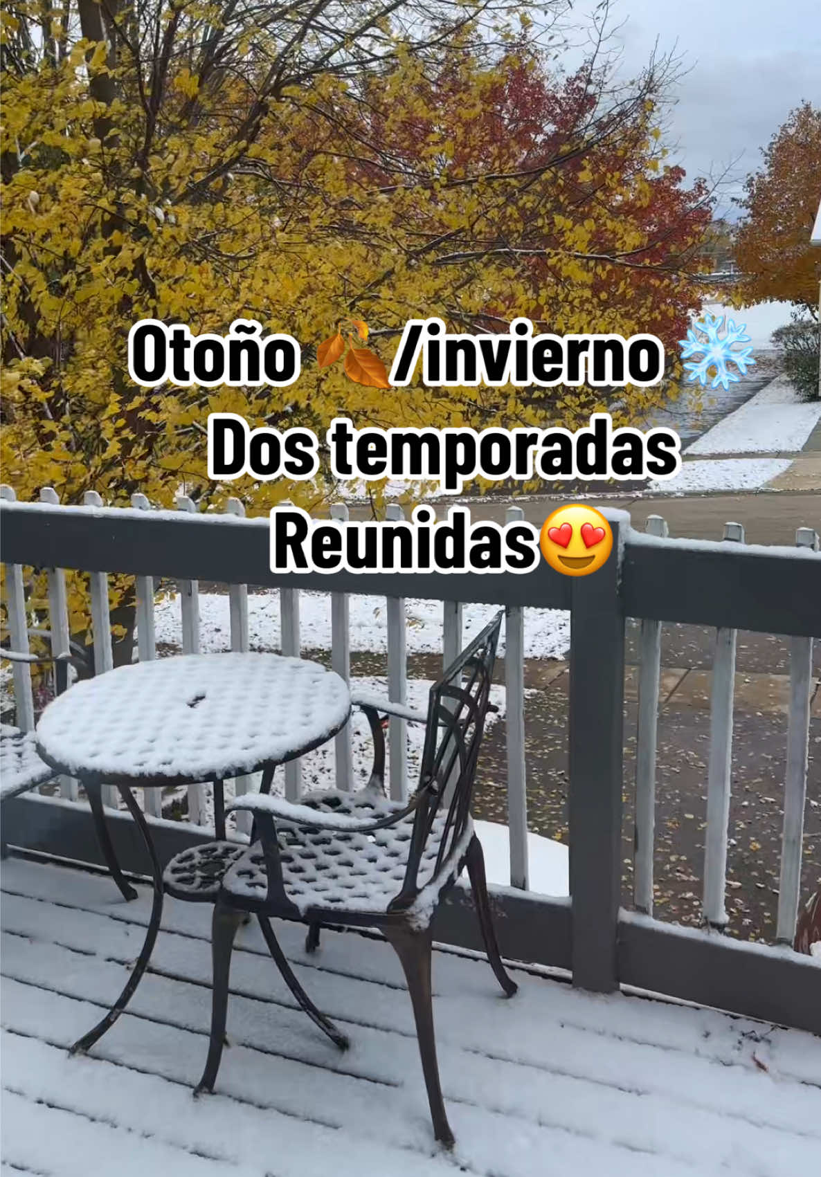 #winter #fall #foryoupage #paratiiiiiiiiiiiiiiiiiiiiiiiiiiiiiii 