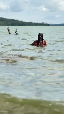 @Aroma Music 🦋 #vypシ✌️❤️ #vypシ 