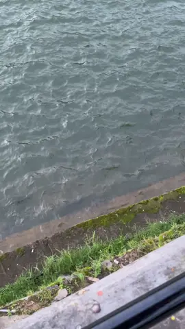 sarangan sore hari#telagasarangan #magetan24jam#fyppppppppppppppppppppppp 