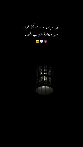 میرے پاس سب سے قیمتی خزانہ میری وفادار شزادی ہے الحمدللہ۔🥹🤍