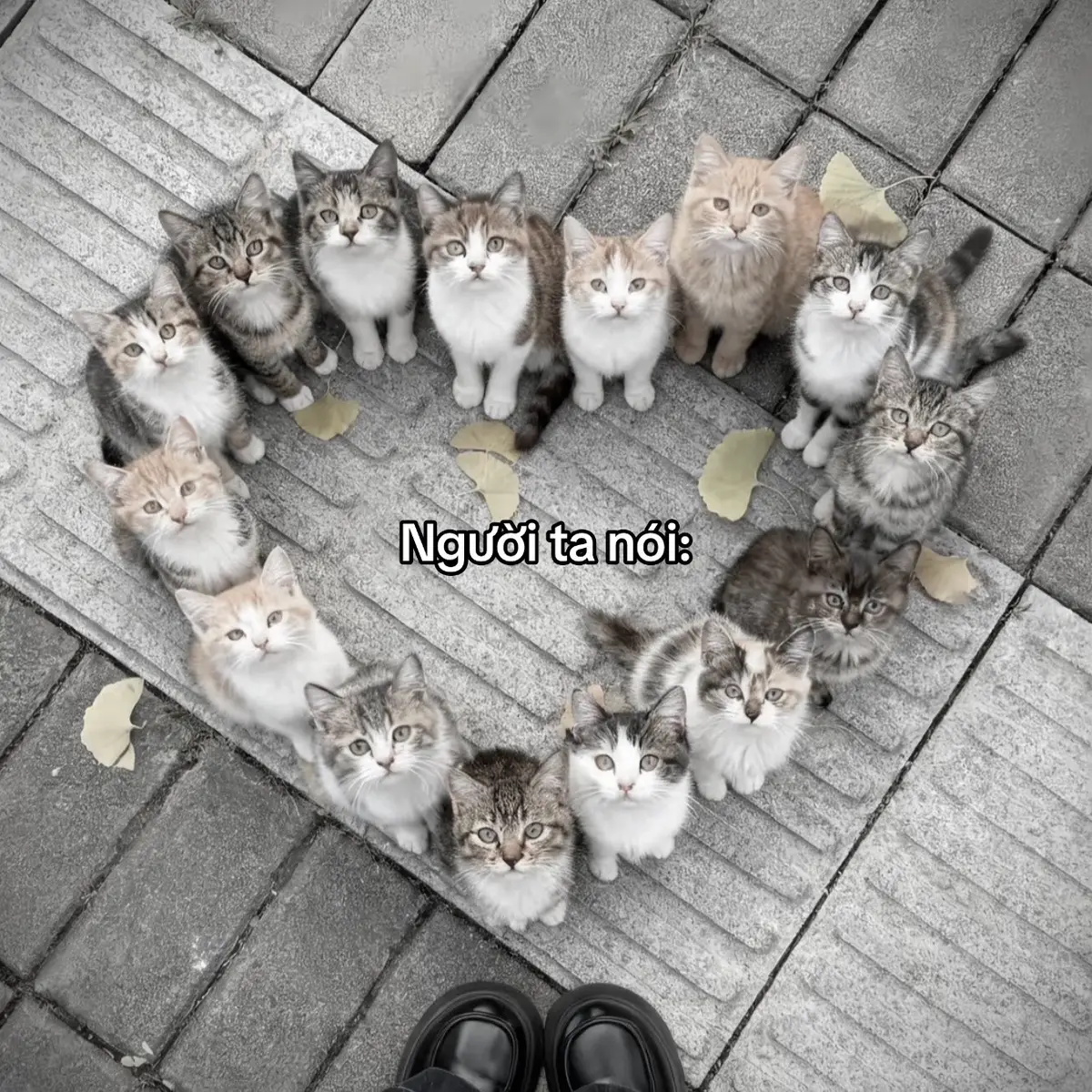 #sadstory #viral #tinhyeu #tam_trang_buon #pheoverthinking 