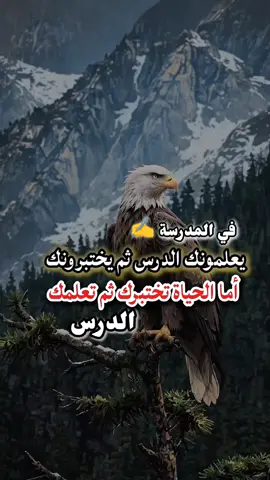 #الصحراء_الغربية 🇸🇩#الشعب_الصيني_ماله_حل😂😂 