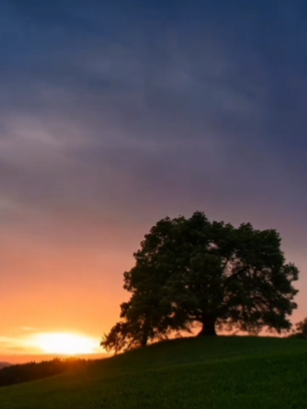 #hoctiengtrung  #tiengtrung  #luyendichtiengtrung  ______________ rf: 心灵休憩站