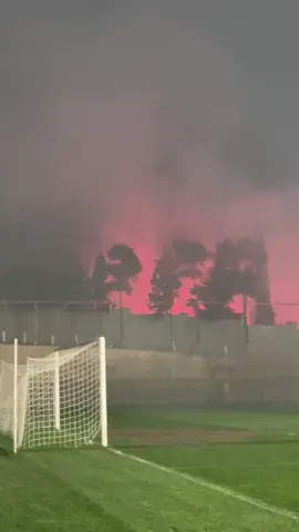 Qarabağ vs Neftçi Forza hazirdi #football #neftci #forzaneftchi 