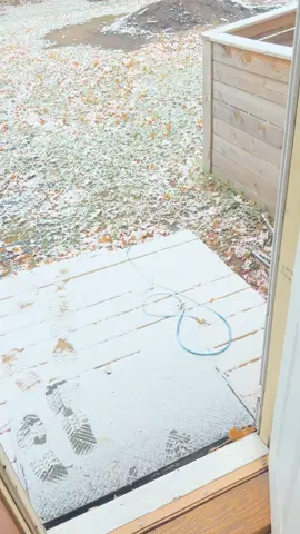 #snow #michigan #nottoday I woke up and I looked out my window and I hoped I was still asleep. I was not and now my day is ruined.