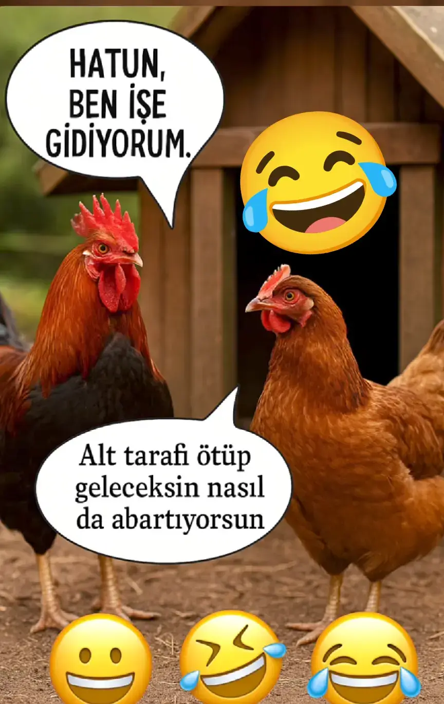Gerçekten Böylemi düşünüyorsunuz 😂😂😂