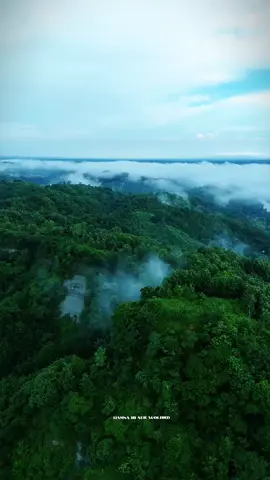 nee eppo pulla solla pora song bgm  #tamilbgmkumki #naturelover #travel #outdoorlife #naturevibes 