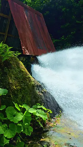 #مرتفعات_ايدر #مرتفعات_الشمال_التركي #طربزون_اوزنجول #تركيا #الشمال_التركي 