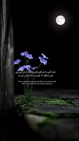 #fyp #afghan 🫰🏻💸