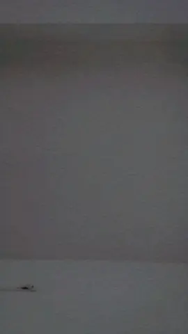 #menu tery naal Pyar jatta taan #ayetal22 #foryou 