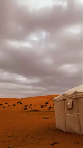 #مجرد_ذووقツ🖤🎼 #صدام #اكسبلور #fyp #explore 