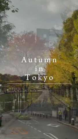 🍂🍂 #東京  