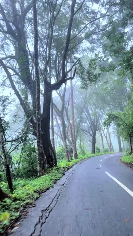 View berangkat kerja dengan efek kabut