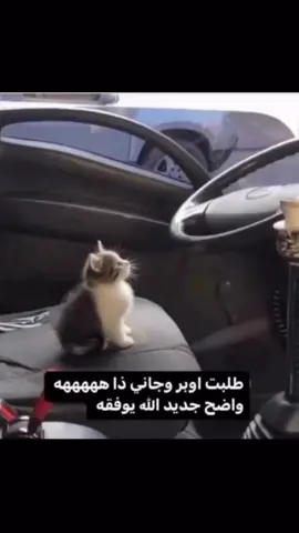 انا الاوبر . . . . #foryou #foryoupage #fyp #saturday #الشعب_الصيني_ماله_حل😂😂 