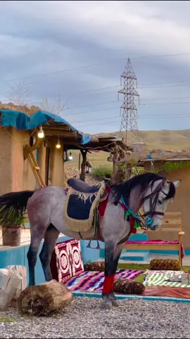 سادەی و جوانی 😍🐎💙#CapCut #tiktok #foryoupage #folklore #viralvideo #actives