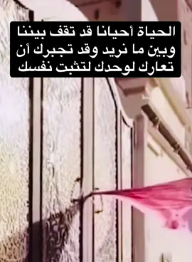 #السعودية🇸🇦 #الرياض #جدة #ترند #السعودية 