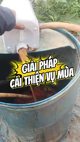 Phải thay đổi, người ta làm được 10 mình cũng phải làm được 7-8 chứ! #lamnong #phanbon #nongnghiep #damca #49lamdong