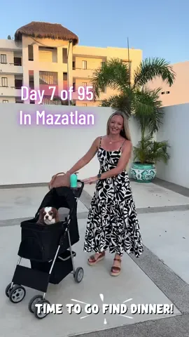 Day 7 of 95 in Mazatlan! Keep the recommendations coming! #traveltiktok #mazatlan #livinginmexico #95daysinmazatlan #lifeinmexico 