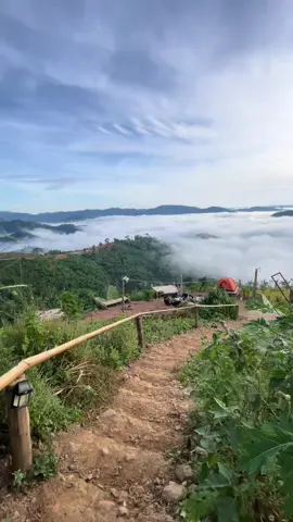 ຕົ້ນໄມ້ສີຂຽວທ້ອງຟ້າສີຄລາມມີຫມອກສີຂາວຕັດມັນລົງຕົວແລະ ມັນຮີ່ວໃຈຂ້ອຍແທ້ໆກັບຄົນທີ່ເມືອຍຈາກການທຳງານ 🏞️❤️#ພູແດນເມືອງ🏞️🏞️ #ຂື້ນຫນ້າຟິດແນ່ເດີ້ #ພູແດນເມືອງສະນະຄາມ🇱🇦 