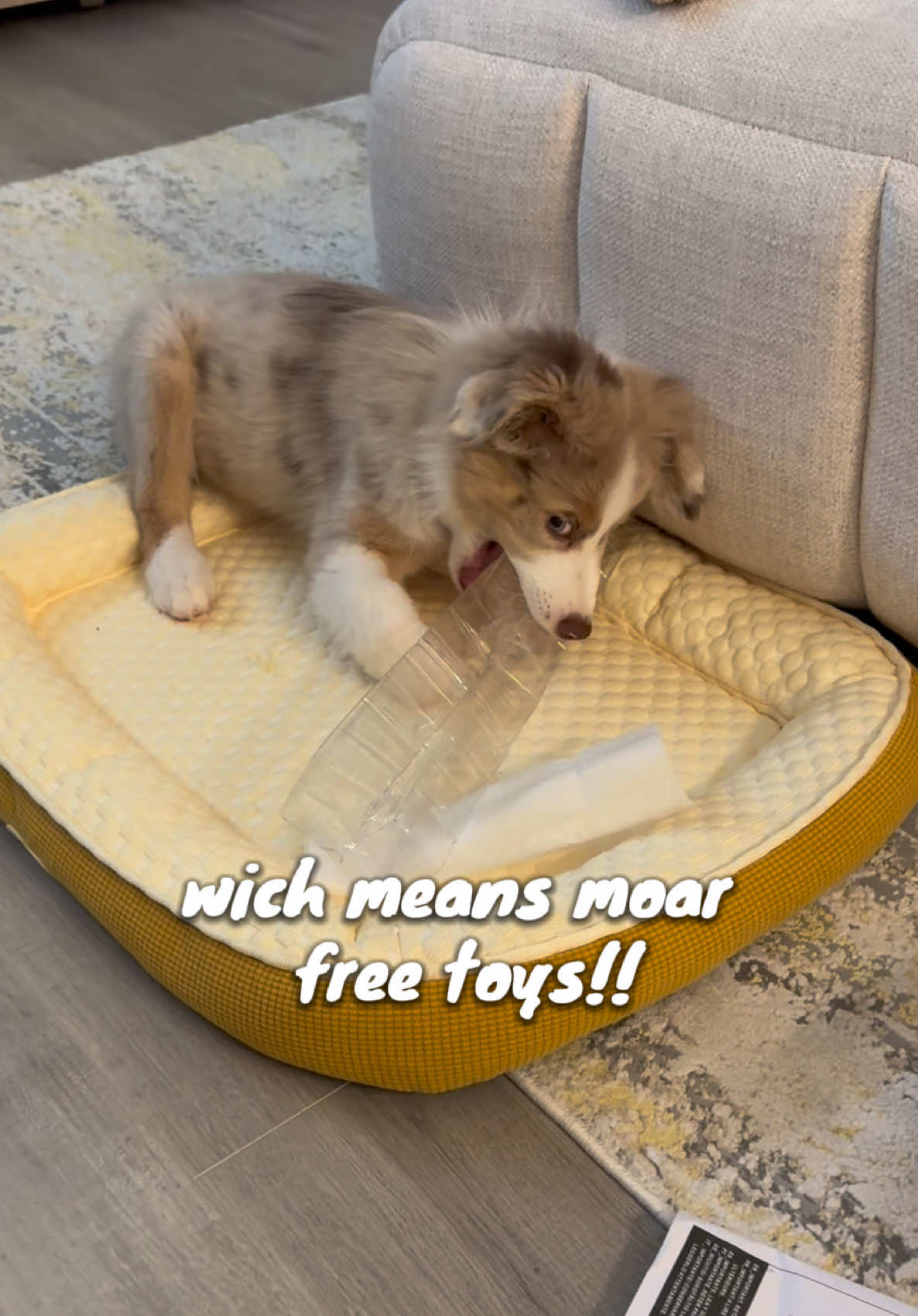 Free toys are the best toys 