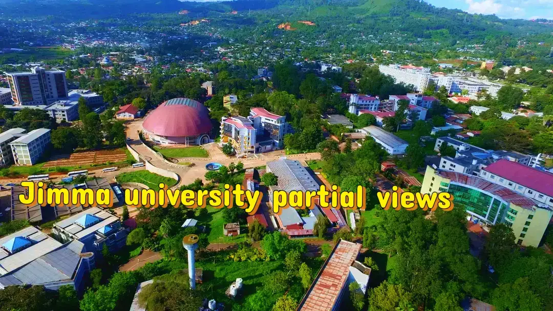 #JimmaUniversity (JU) is a prominent public research university located in Jimma, Oromia Region, Ethiopia. ​It is widely known for pioneering the Community-Based Education (CBE) philosophy in Ethiopia, focusing on integrating teaching, research, and service with community needs. The university's motto is 