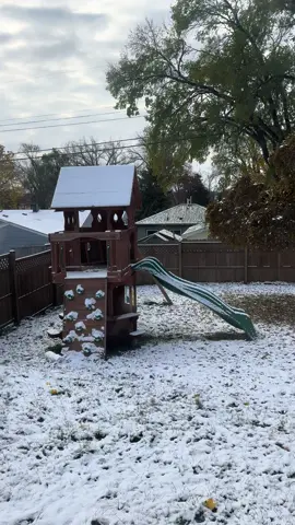 I loathe winter 🥶 #firstsnowfall #midwestwinter #wisconsinwinter 