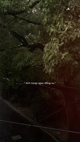 Sớm Muộn Thì - Anh Trai Say Hi #anhtraisayhi #sommuonthi #capcut #capcutpioneer #pioneertemplate 