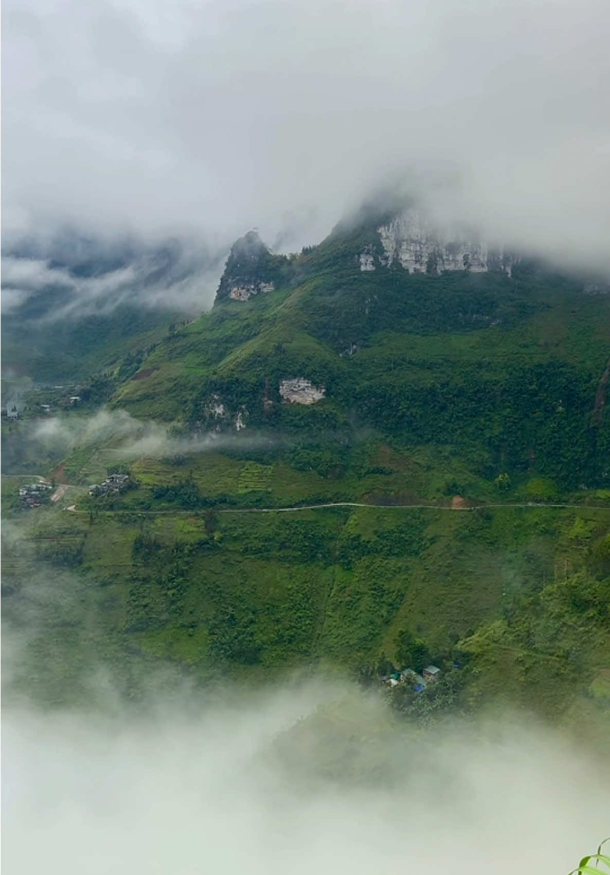 Mã Pí Lèng mây trắng phủ núi đèo #hagiang #dulich #dulichhagiang #phuot #mapileng 