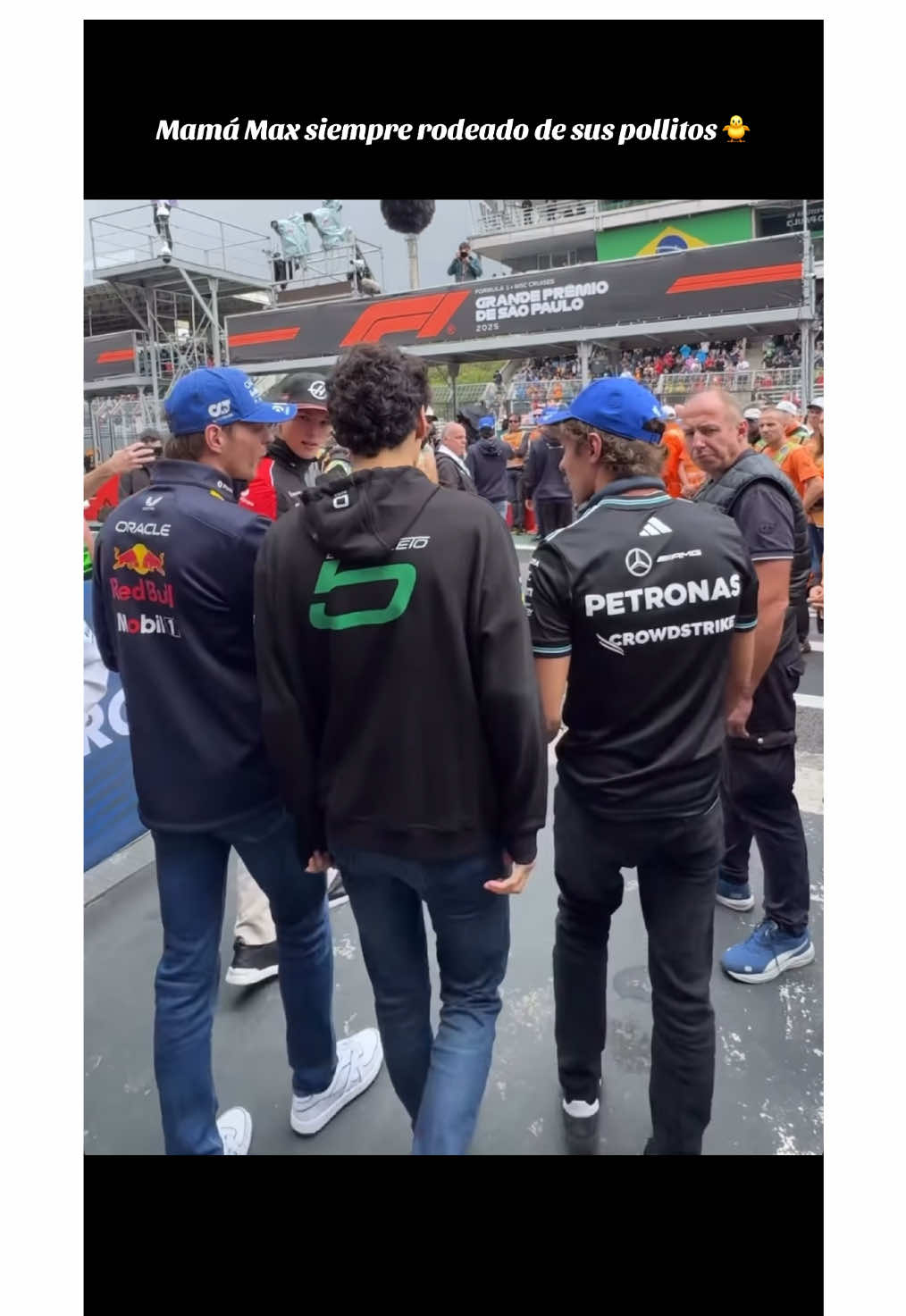 Este es el villano de la #F1 rodeado de sus pollitos 🇧🇷♥️🐥 #verstappen #rookies #gpbrasil #bortoleto 