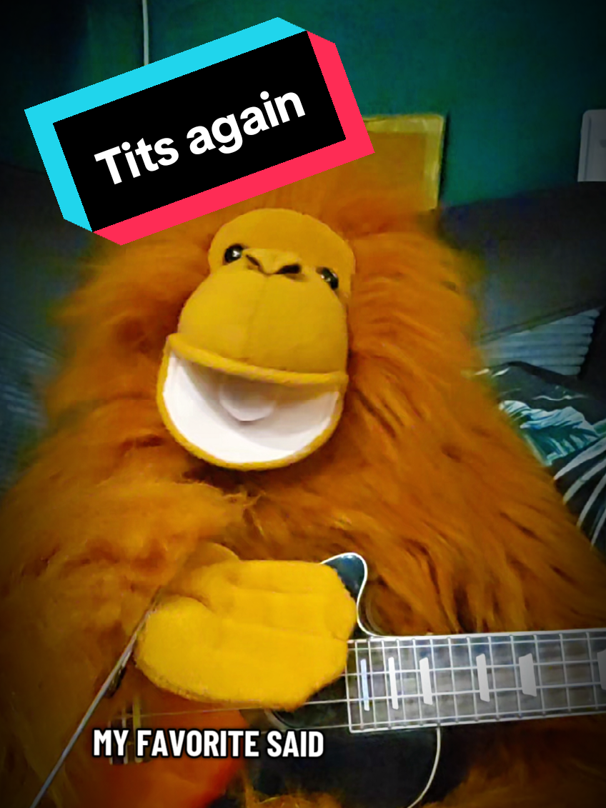 Show me your t*ts again #gingerbarry #puppet #funny #song 