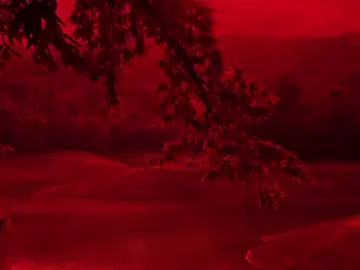 جزء29||إذا تردوني أنساكم عن بالي إخذوا صوركم 😔❤️‍🔥. #تصاميم_فيديوهات🎵🎤🎬 #تصميمي🎬 #ينصح_بارتداء_السماعات😔🎧 #قصائد_حسينية #تصاميم_حسينية 