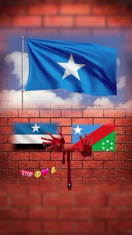 2025 in marasta iyo bir ma geydada iska leyno ma qurux badno qabiil hadu wax tarayo 40 sana is laayneyna qof heer ku gaaray ama jano ku galay ma aragten somaliyey.? #gabarhiiran🐪🇪🇪 #geeljecelgirl #koonfurgalbed🇪🇪 #walaweyn🇪🇪  #yaaqbariweyne🇪🇪 
