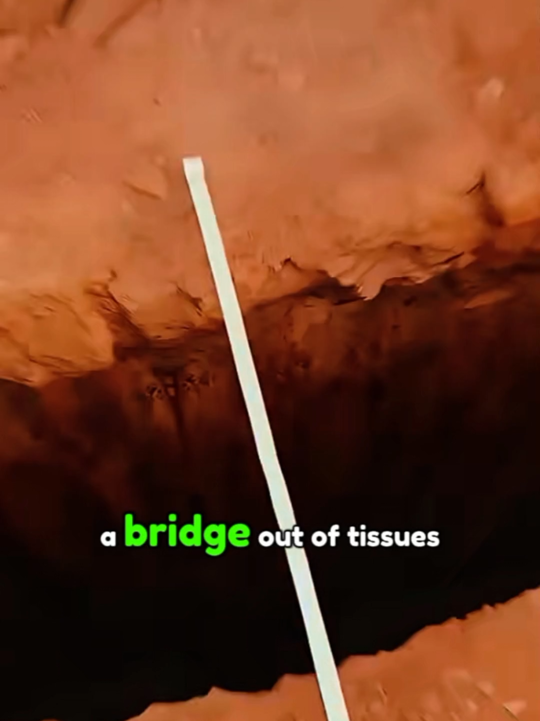 Can Tissue Really Hold Your Weight? 😮 #fyp #animation #3danimation #zackdfilms #foryou 