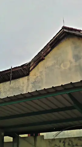 #beranda #foryou #vixionsimpleminimalis #vixionstyleganteng #vixion_modifikasi 