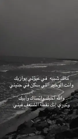 والله احبگ