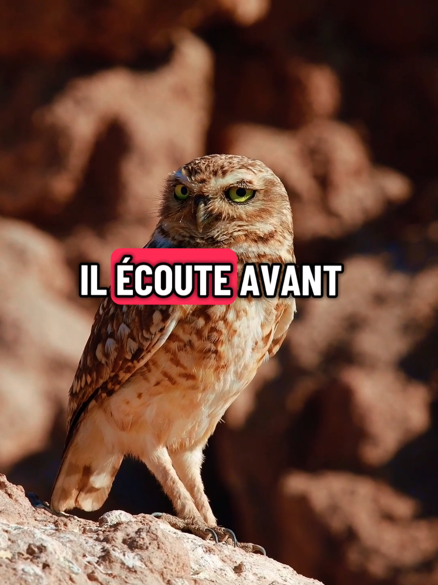 #Motivation #sagesse #aprender #tiktokMotivation 