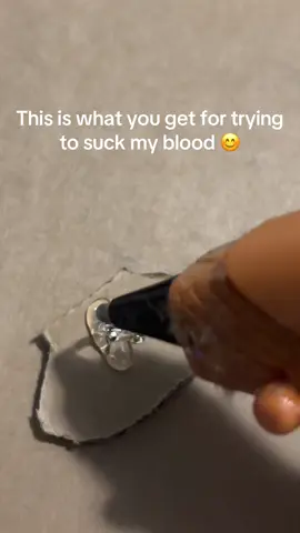 #bugtorture #silly #cutevideo #fyp #viral 