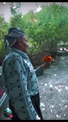 #explore #rojava_rojhlat_bakor_başor❤💛💚 #عفرين_قامشلي_كوباني_درباسيه_ديري #Viral #kurde 